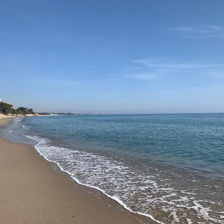 アパート Bonito Piso En Primera Linea De Mar En