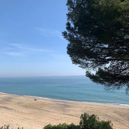 Bonito Piso En Primera Linea De Mar En ミアミ・プラトーヤ
